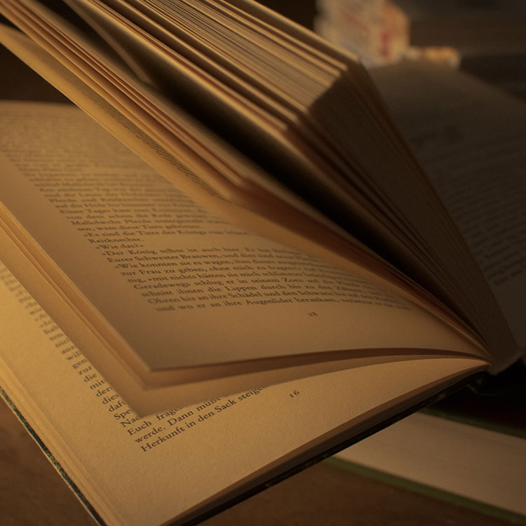property-law-sections